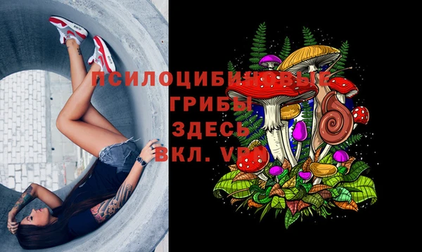 первитин Арсеньев