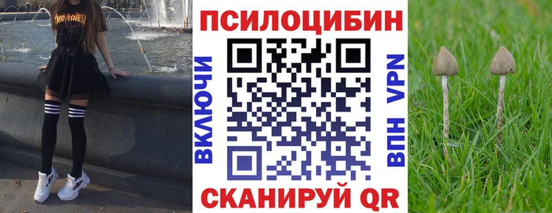 магазин продажи наркотиков  Мценск  Галлюциногенные грибы прущие грибы 